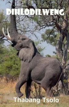 Paperback Dihlodilweng [Sotho] Book