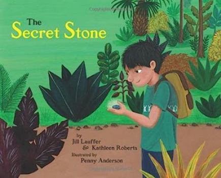 Hardcover The Secret Stone Book