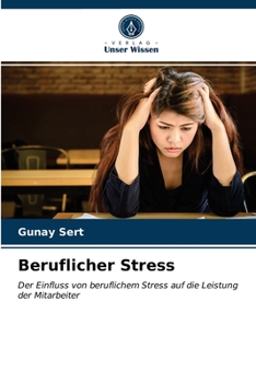 Paperback Beruflicher Stress [German] Book