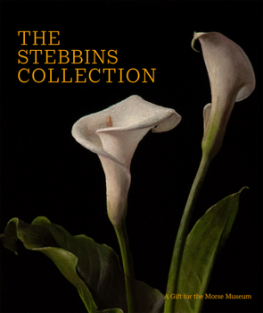 Hardcover The Stebbins Collection: A Gift for the Morse Museum Book