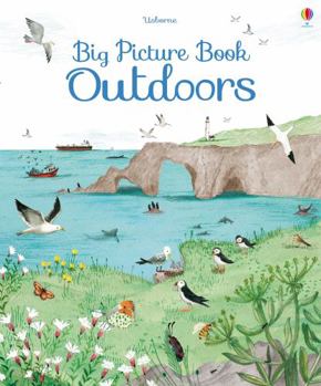 Big Picture Book Outdoors - Book  of the Usborne Big Picture Books
