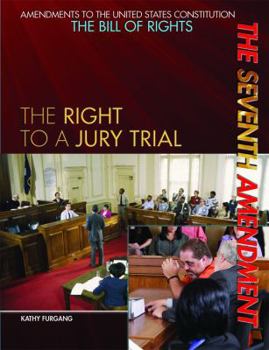 Paperback The Seventh Amendment Book