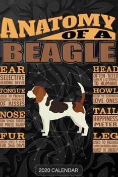 Paperback Anatomy Of A Beagle: Beagle 2020 Calendar - Customized Gift For Beagle Dog Owner Book