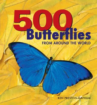 Paperback 500 Butterflies: Butterflies from Around the World Book
