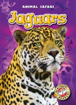 Jaguars - Book  of the Animal Safari