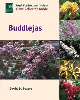 Hardcover Buddlejas Book