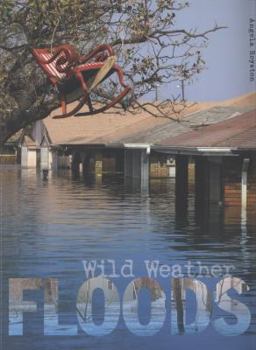 Paperback Floods Book