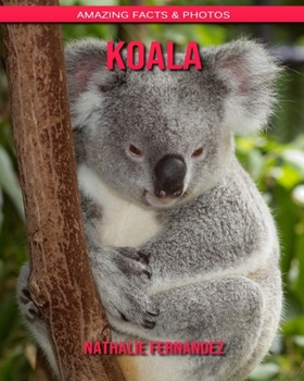 Koala: Amazing Facts & Photos