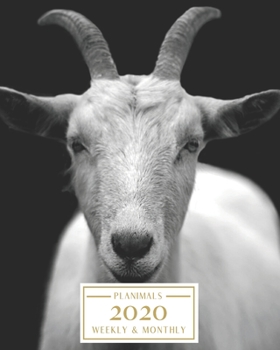 Paperback 2020: Weekly and Monthly Planner/Calendar Jan 2020 - Dec 2020 Moody White Goat Book