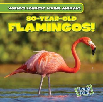 80-Year-Old Flamingos! - Book  of the World's Longest-Living Animals