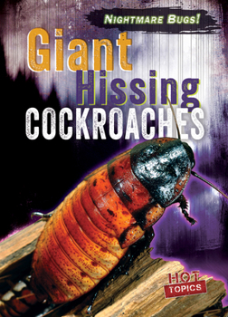 Giant Hissing Cockroaches (Nightmare Bugs!)