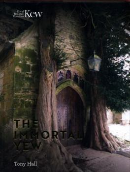 Hardcover The Immortal Yew Book