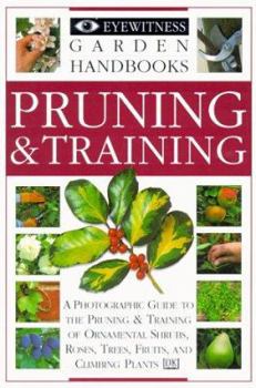 Paperback Pruning & Training Book