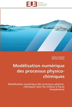 Paperback Modélisation numérique des processus physico-chimiques [French] Book