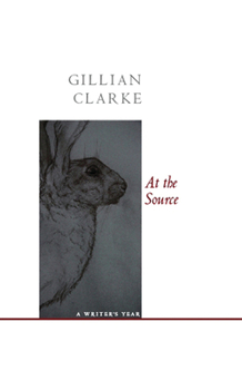 Paperback At the Source: A Writer's Year Book