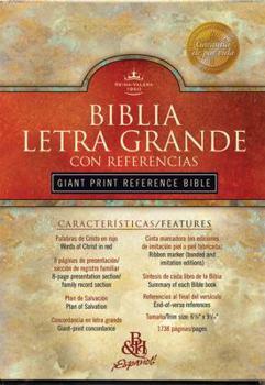Imitation Leather Santa Biblia Letra Grande-RV 1960 [Spanish] [Large Print] Book