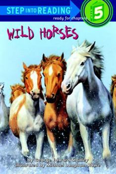 Paperback Wild Horses Book