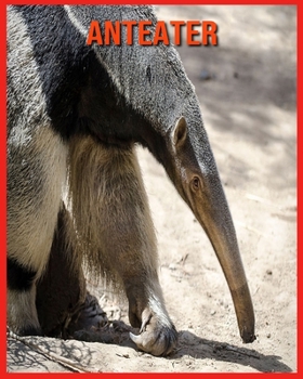 Anteater: Childrens Book Amazing Facts & Pictures about Anteater