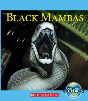 Hardcover Black Mambas (Nature's Children) Book