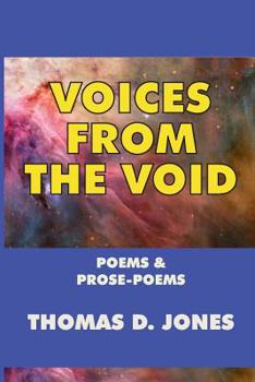 Paperback Voices from the Void Book