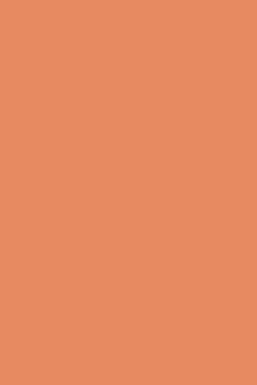 Dot Grid Tangerine colored Bullet Journal: A minimalistic dotted bullet Bullet Journal / Notebook /Journal /planner/ dairy/ calligraphy Book / ... with 150 Pages, 6x9, Soft Cover, Matte Finish