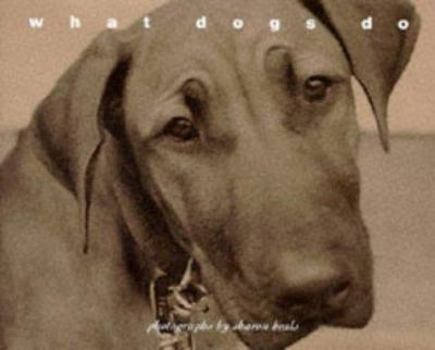 Hardcover What Dogs Do Book
