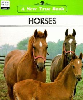 Paperback Horses Book