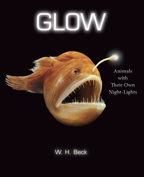 Hardcover Glow: Animals with Their Own Night-Lights Book