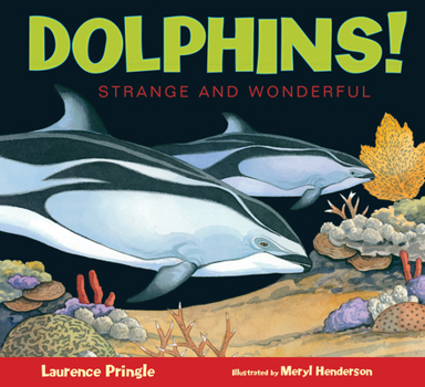 Dolphins! - Book  of the Strange and Wonderful