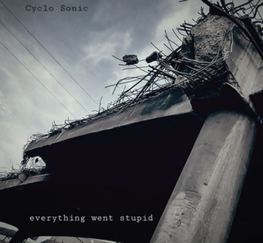 Vinyl Cyclo Sonic   Everything Went Stupid Book