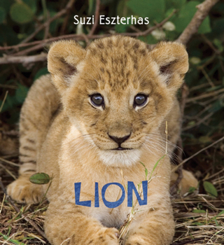 Hardcover Lion Book