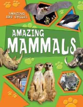 Library Binding Amazing Mammals Book