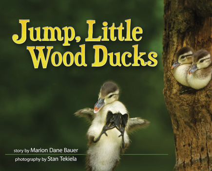 Hardcover Jump, Little Wood Ducks Book