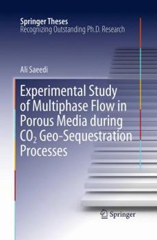 Paperback Experimental Study of Multiphase Flow in Porous Media During CO2 Geo-Sequestration Processes Book