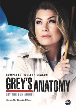 DVD Grey's Anatomy: Complete Twelfth Season Book