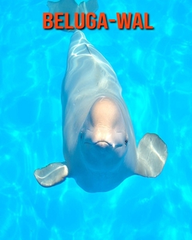 Paperback Beluga-Wal: Erstaunliche Fakten & Bilder [German] Book