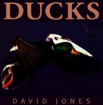 Hardcover Ducks Book