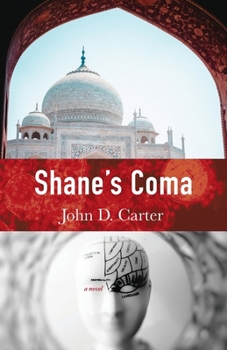Paperback Shane's Coma Book