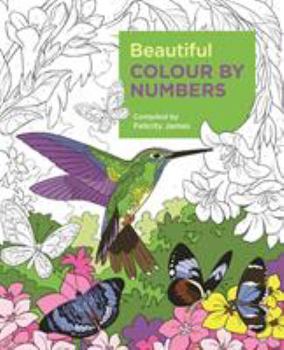 Paperback Beautiful Colour by Numbers Book