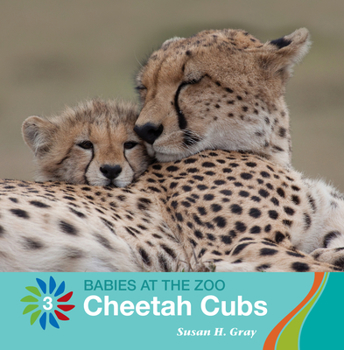 Library Binding Cheetah Cubs Book