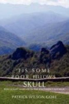 Paperback 'Tis Some Poor Fellow's Skull: Post-Soviet Warfare in the Southern Caucasus Book