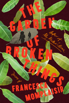 Hardcover The Garden of Broken Things Book