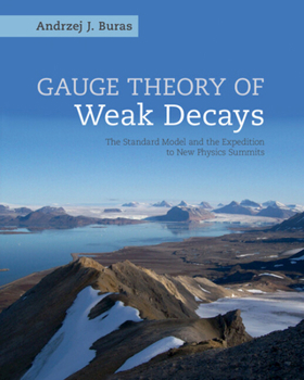 Hardcover Gauge Theory of Weak Decays: The Standard Model and the Expedition to New Physics Summits Book
