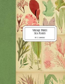 Paperback Vintage Prints: Sea Plants Book