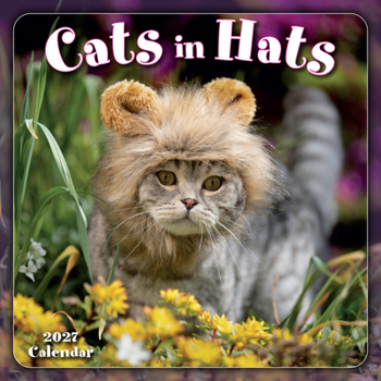 Mini-Disc Cats in Hats Book