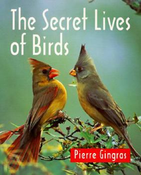Paperback The Secret Lives of Birds Book
