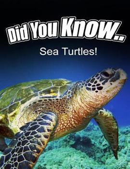 Paperback Sea Turtles Book