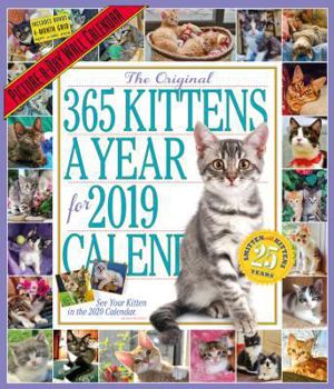 Calendar The 365 Kittens-A-Year Picture-A-Day Wall Calendar 2019 Book