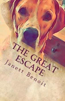 Paperback The Great Escape Book