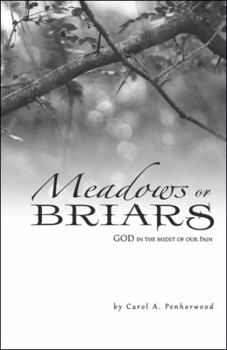 Meadows or Briars: God in the Midst of Our Pain